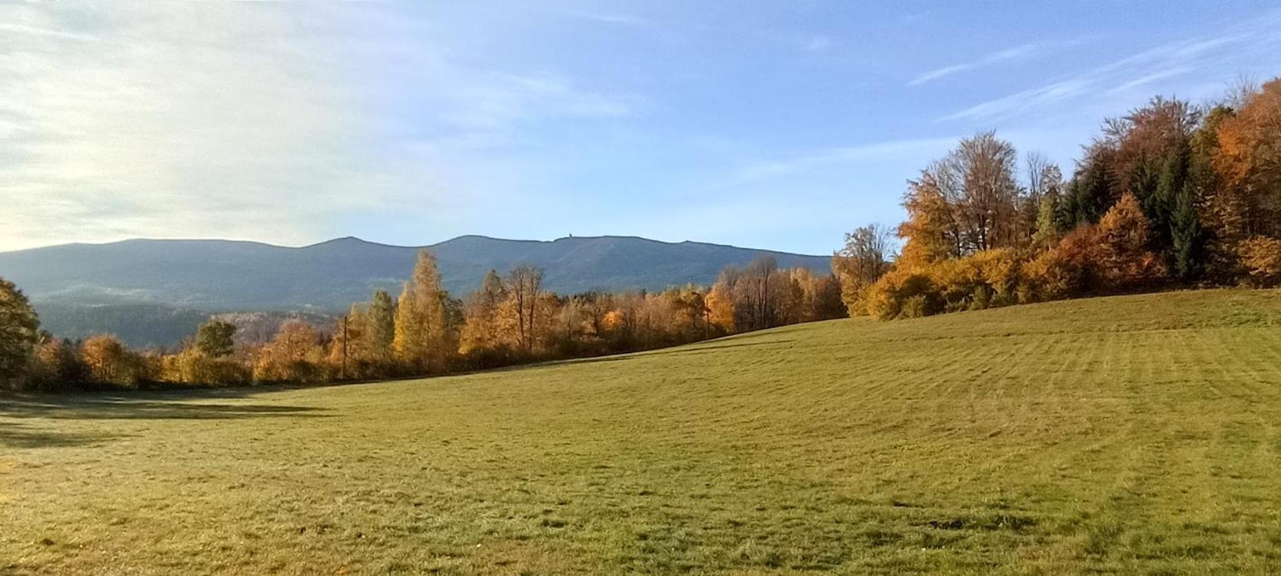 Zacisze